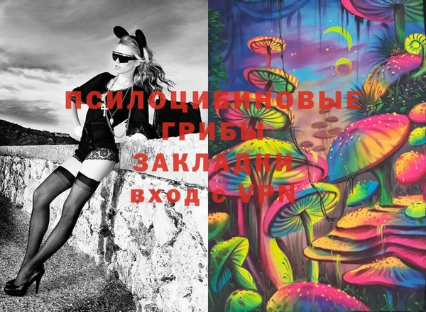 дживик Алзамай